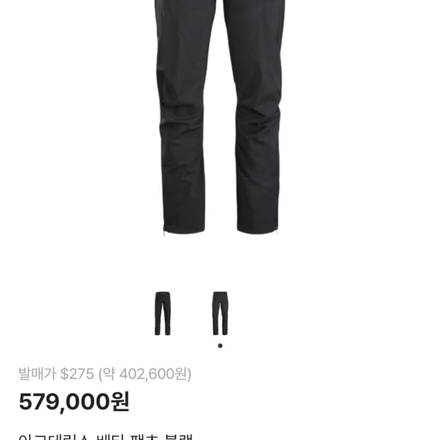 아크테릭스 베타팬츠