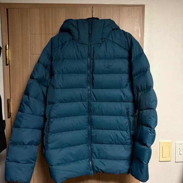 아크테릭스 토륨 L 사이즈 신상