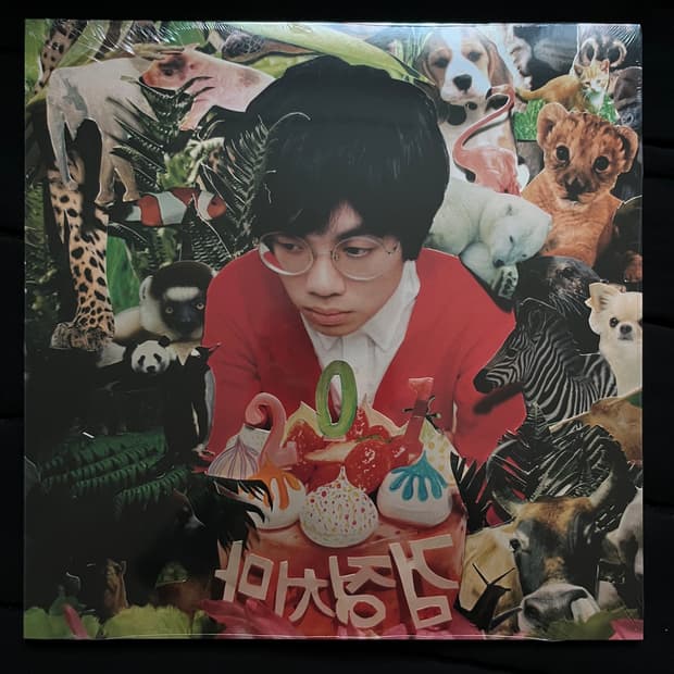 검정치마 201Lp 미개봉 새상품