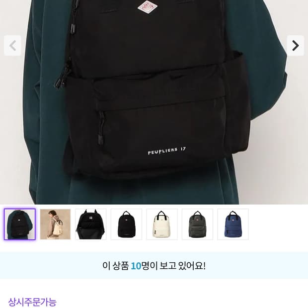 단톤 포플라 17 백팩 블랙 Danton Peupliers 17