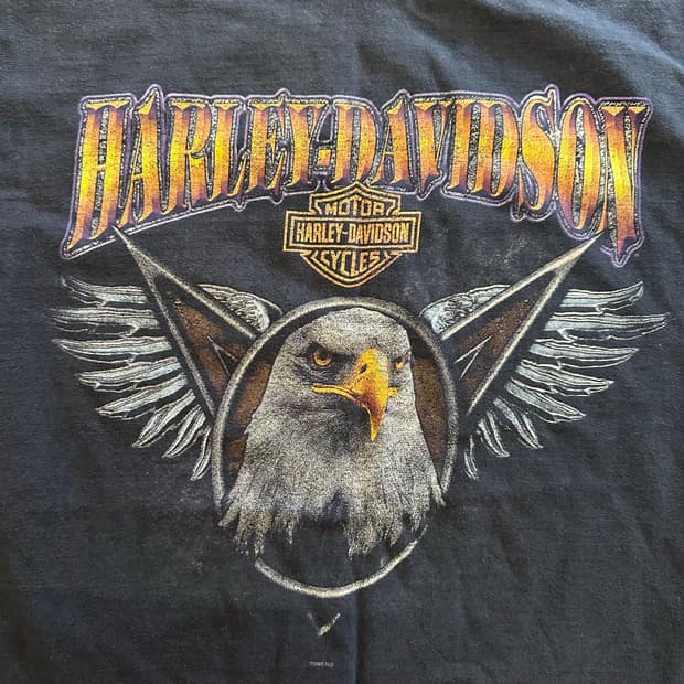 USA 00s Harley-Davidson "V-twin History"