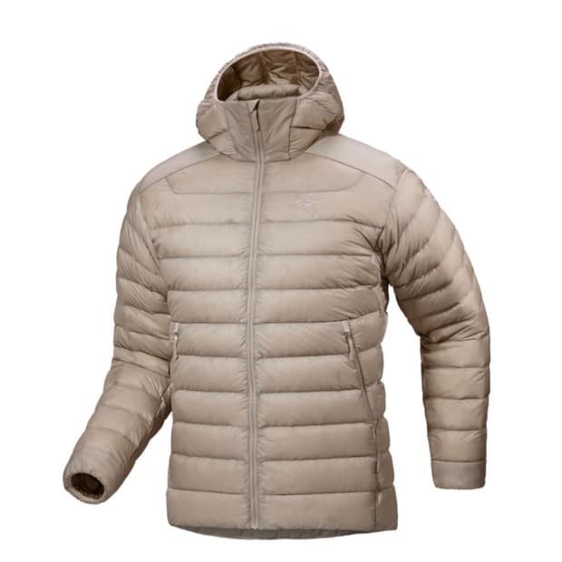 아크테릭스 세륨 후디 룬