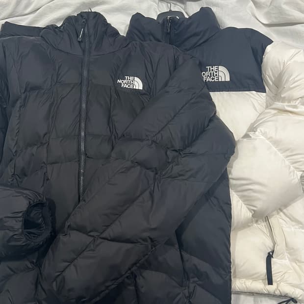 노스페이스 패딩 일괄