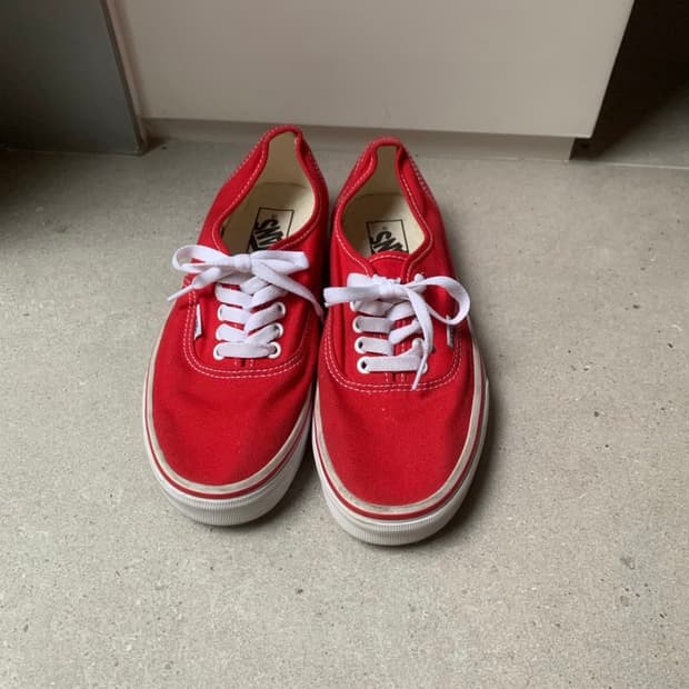 Vans 레드 250