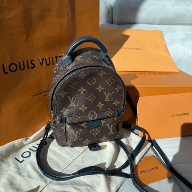 루이비통 팜스프링스 미니 백팩