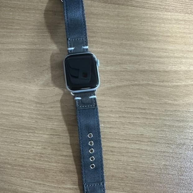 월스와일무브먼트 Nato 나토 스트랩