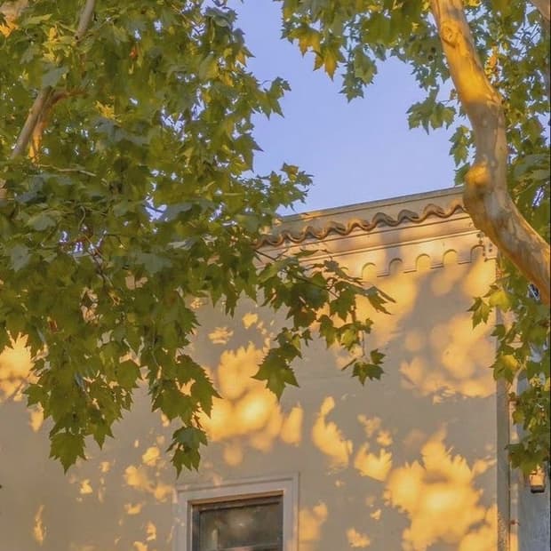 gyonizuk님의 개인결제창 