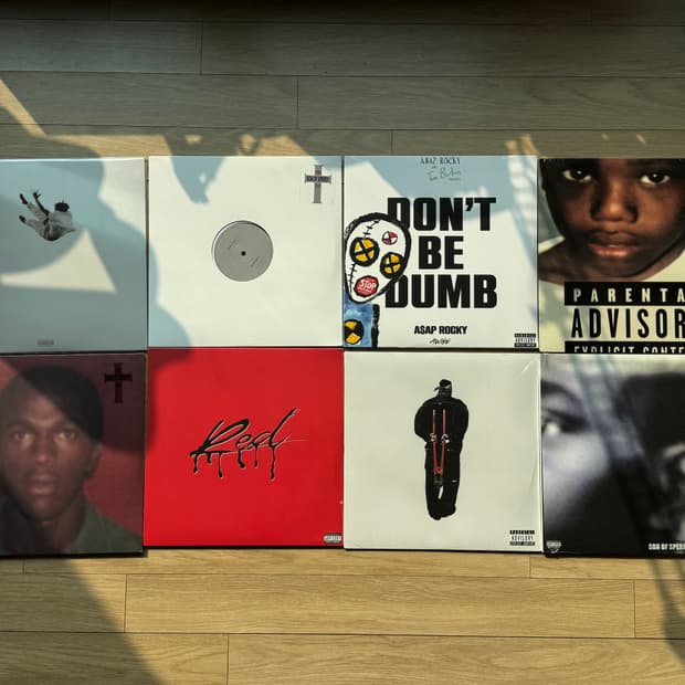 LP/바이닐 다수 (다니엘 시져, 에이셉 라키, 베이비 킴, 플레이보이 