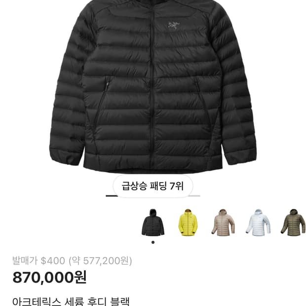 아크테릭스 세륨후디 블랙 L