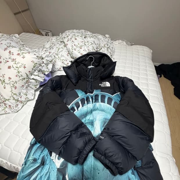 노스페이스 슈프림패딩