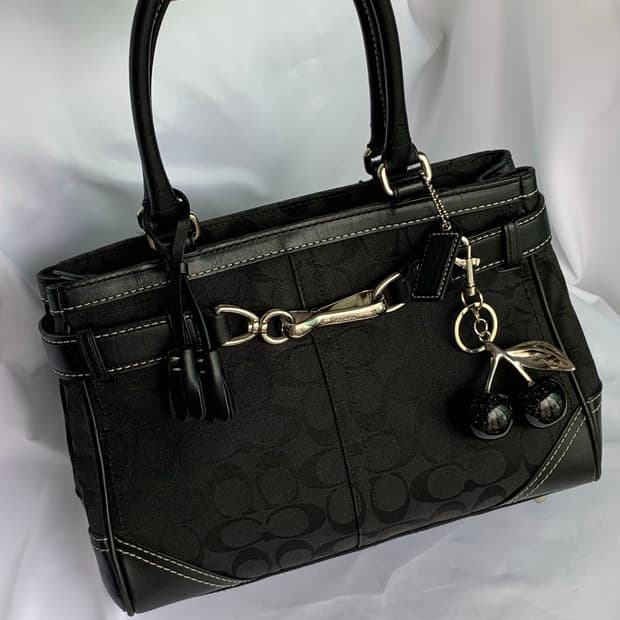 ๐ค Coach ์ฌ๋ธ๋ ์๋๋ฐฑ (๋ฏธ๋ ์ฌ์ด์ฆ)