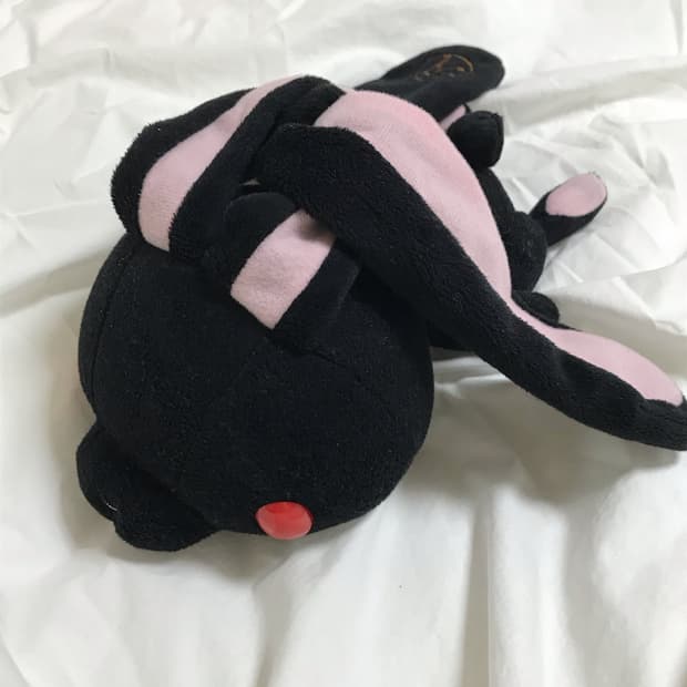 누워 있는 범용 토끼