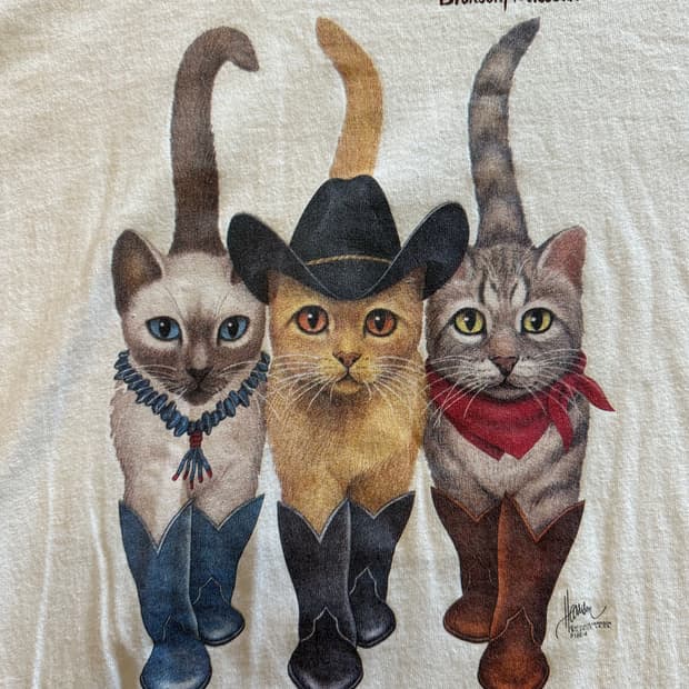  'Cowboy Cats' by Bob Harrison 아트웍티 - L