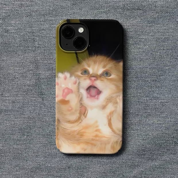 Phone case