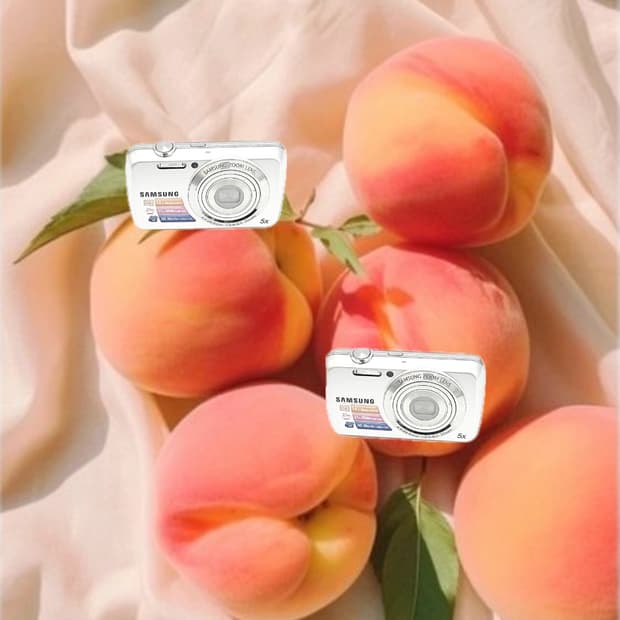 입문&필름색감!) Samsung VLUU PL20 디카 카메라