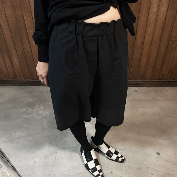 ISSEY MIYAKE 23aw border easy shorts