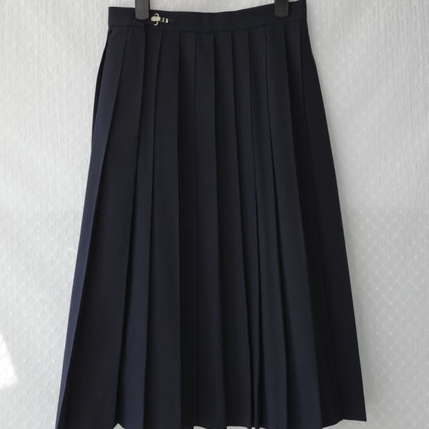 Pleated Navy skirt