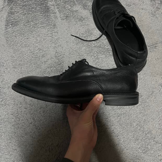 260) wittman 버팔로 더비