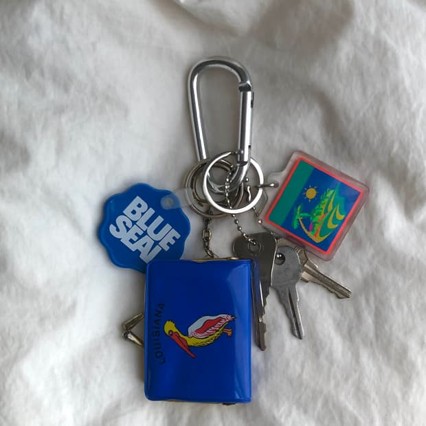 🎁Someone's Keyring #302