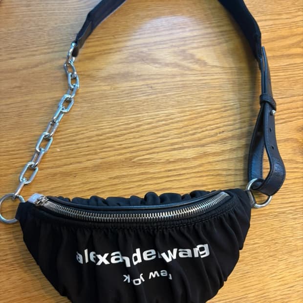 알렉산더왕 백 (실사용 1회 정품)