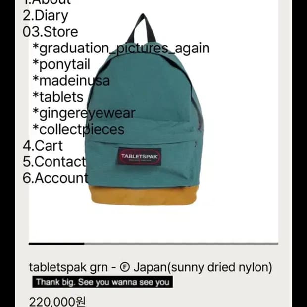 tabletspak grn - © Japan 백팩