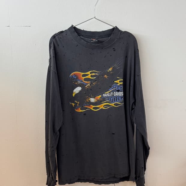 Harley davidson flame eagle faded long