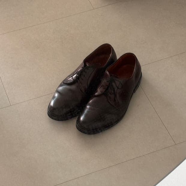 Alden990 Color8 Shell Cordovan PTB 10.5D