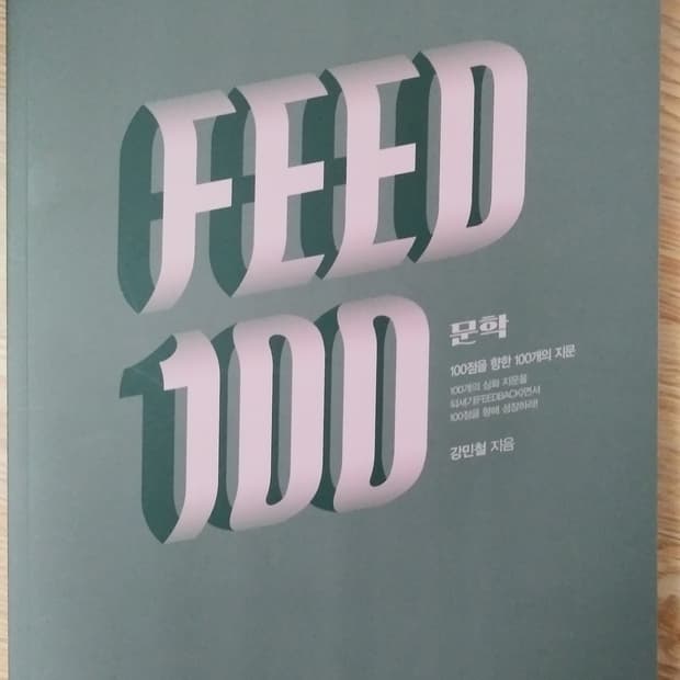 메가스터디 국어 강민철의 피드백 문학