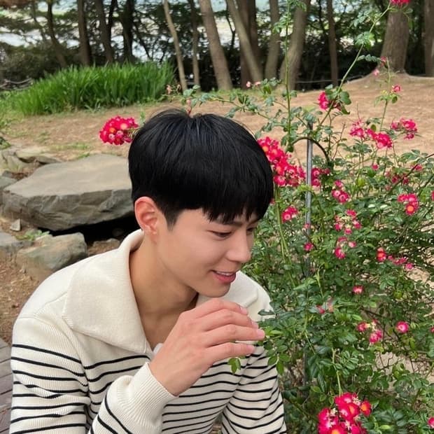 셀린느 마린 오픈 카라 스트라이프 니트 스웨터 L