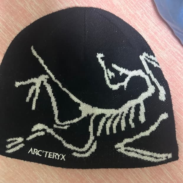 아크테릭스 비니