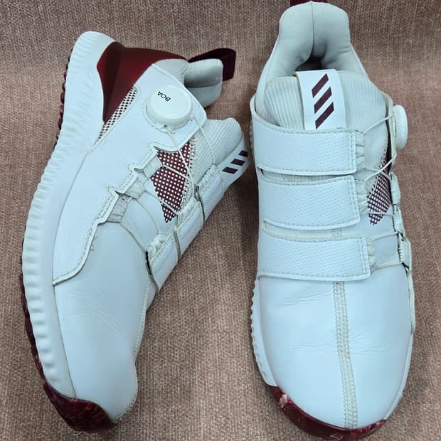 아디다스 245mm- 골프화  아디크로스 바운스 보아