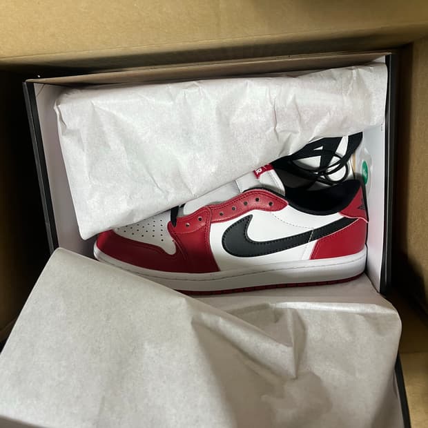 조던1 로우 시카고 (260)