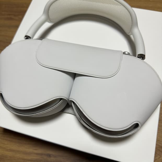 AirPods Max Silver Color