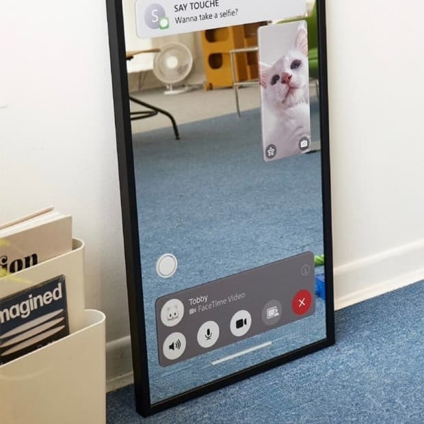 세이투셰 고양이 거울