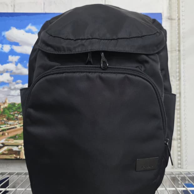 팩세이프 백팩 시티세이프 CS350 컴팩트 여행백팩 GE65