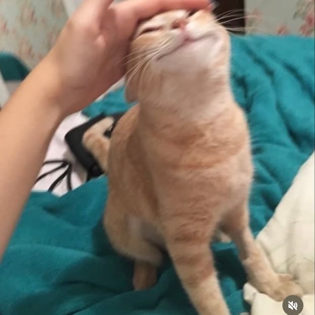 전용페이지