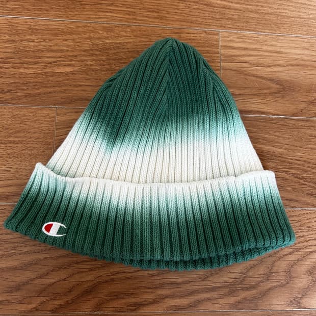 챔피온 타이다이 비니