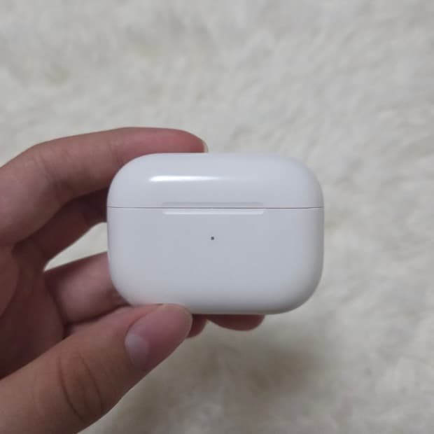 애플 에어팟 프로 2세대 본체