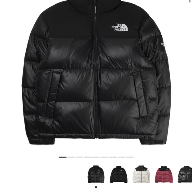 노스페이스 화이트 라벨 노벨티 눕시 RDS 다운 자켓 블랙 팝니다