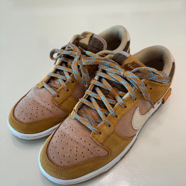 나이키 덩크 신발