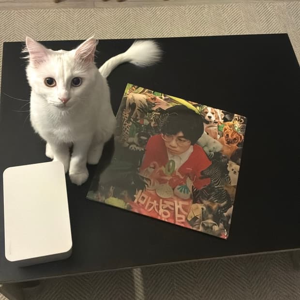 검정치마 201 lp
