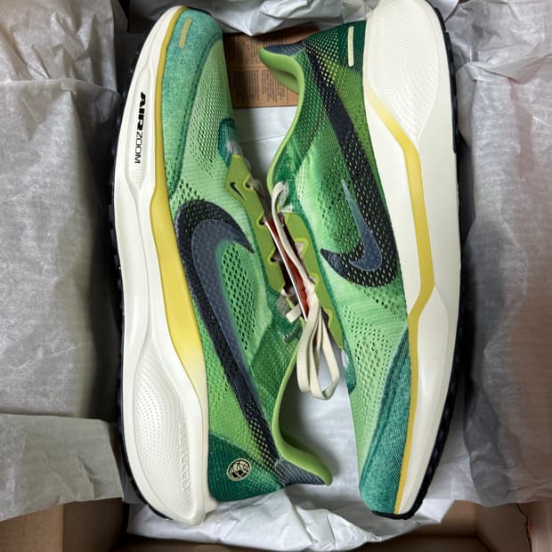 나이키 페가수스 41 290