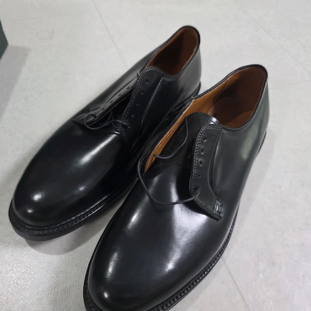 알든 Alden 9901 US10.5D