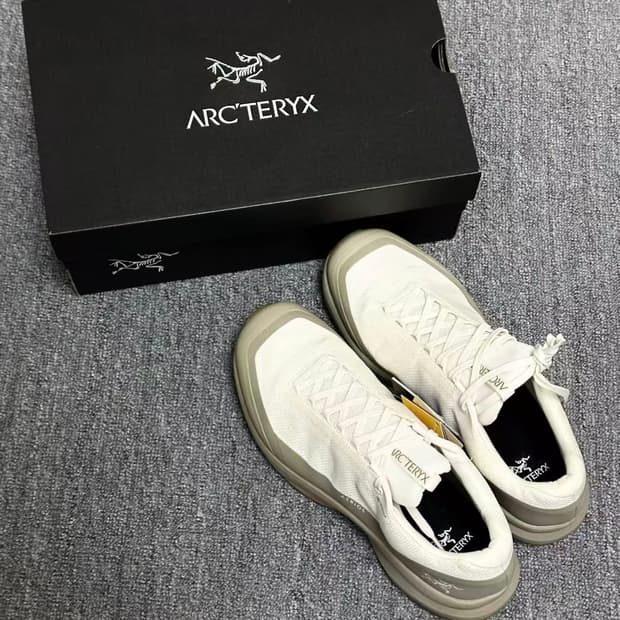 아크테릭스 에어리어스 FL 2 고어텍스 아크틱 실크 스모크