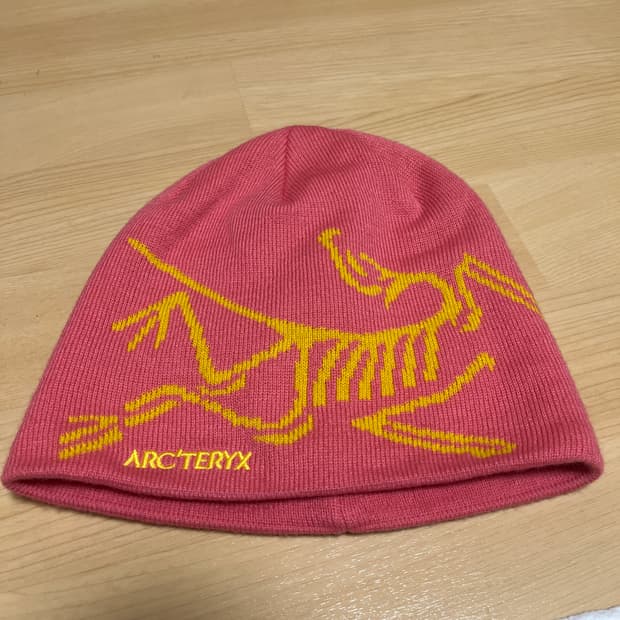 아크테릭스 비니 팝니다