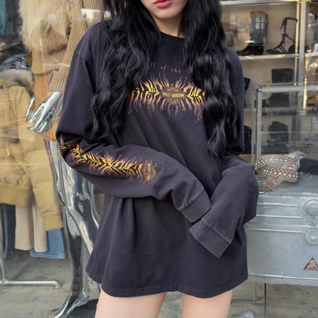 2005 할리 데이비슨 콜 오브 더 와일드 호랑이 긴팔 티셔츠