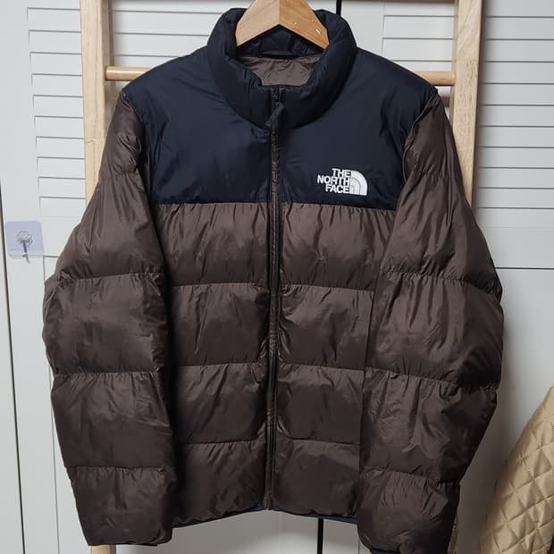 노스페이스 브라운 에코 눕시 패딩 자켓