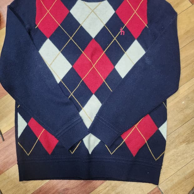 헤지스모니트100