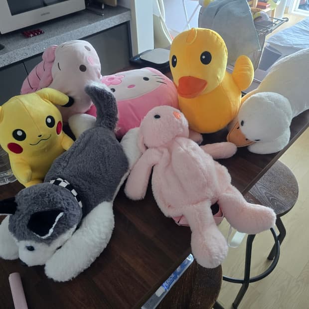 인형/캐릭터 봉제인형 모음 (피카츄, 키티, 도라에몽, 오리 등등)