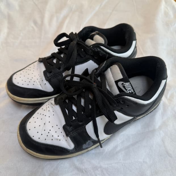 나이키 덩크 범고래 245